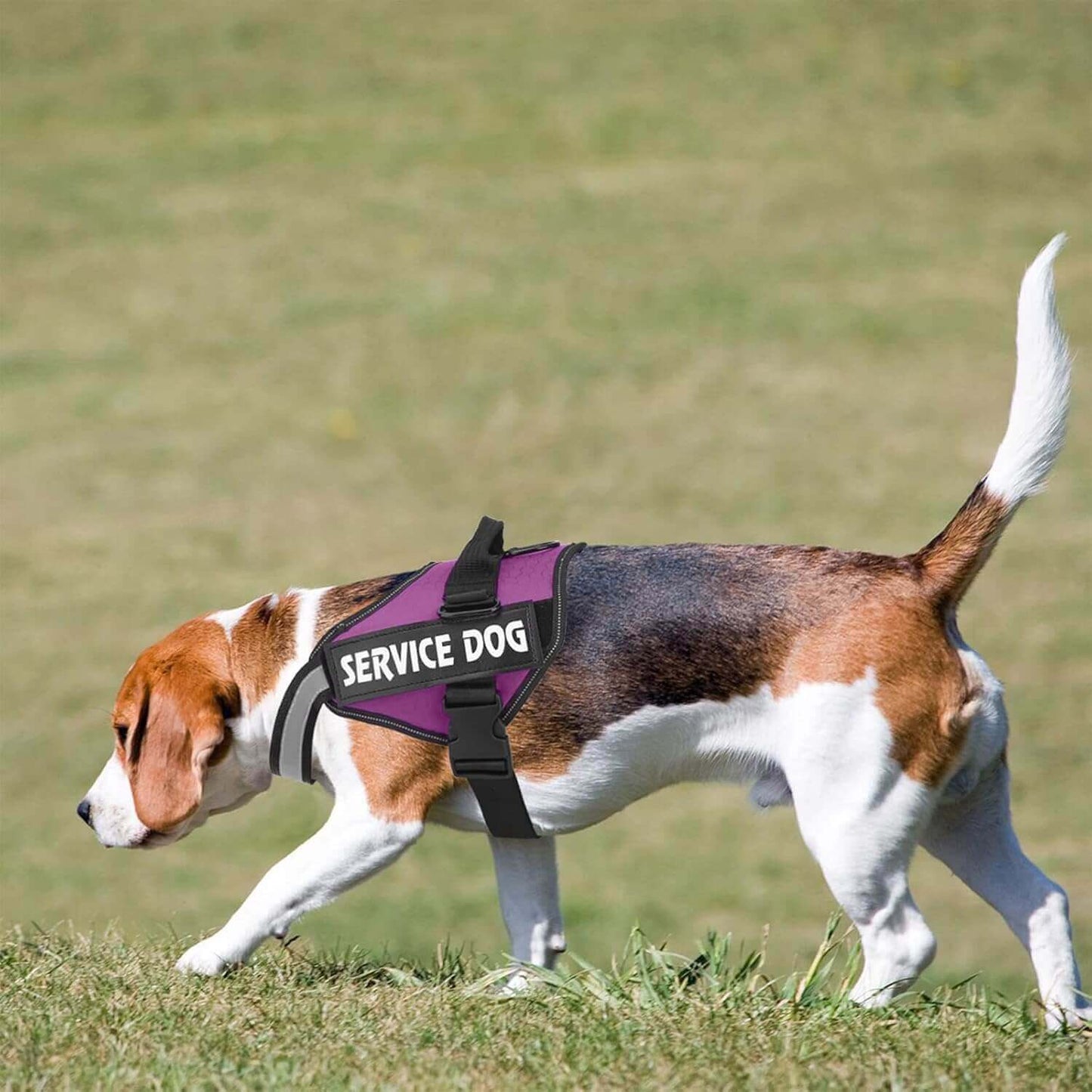 Dog Harness, No Pull Easy On and Off Pet Vest Harness, 3M Reflective Breathable & Easy Adjust Pet Halters with Nylon Handle - No More Tugging or Choking for Small Medium Large Dogs - PETPOY