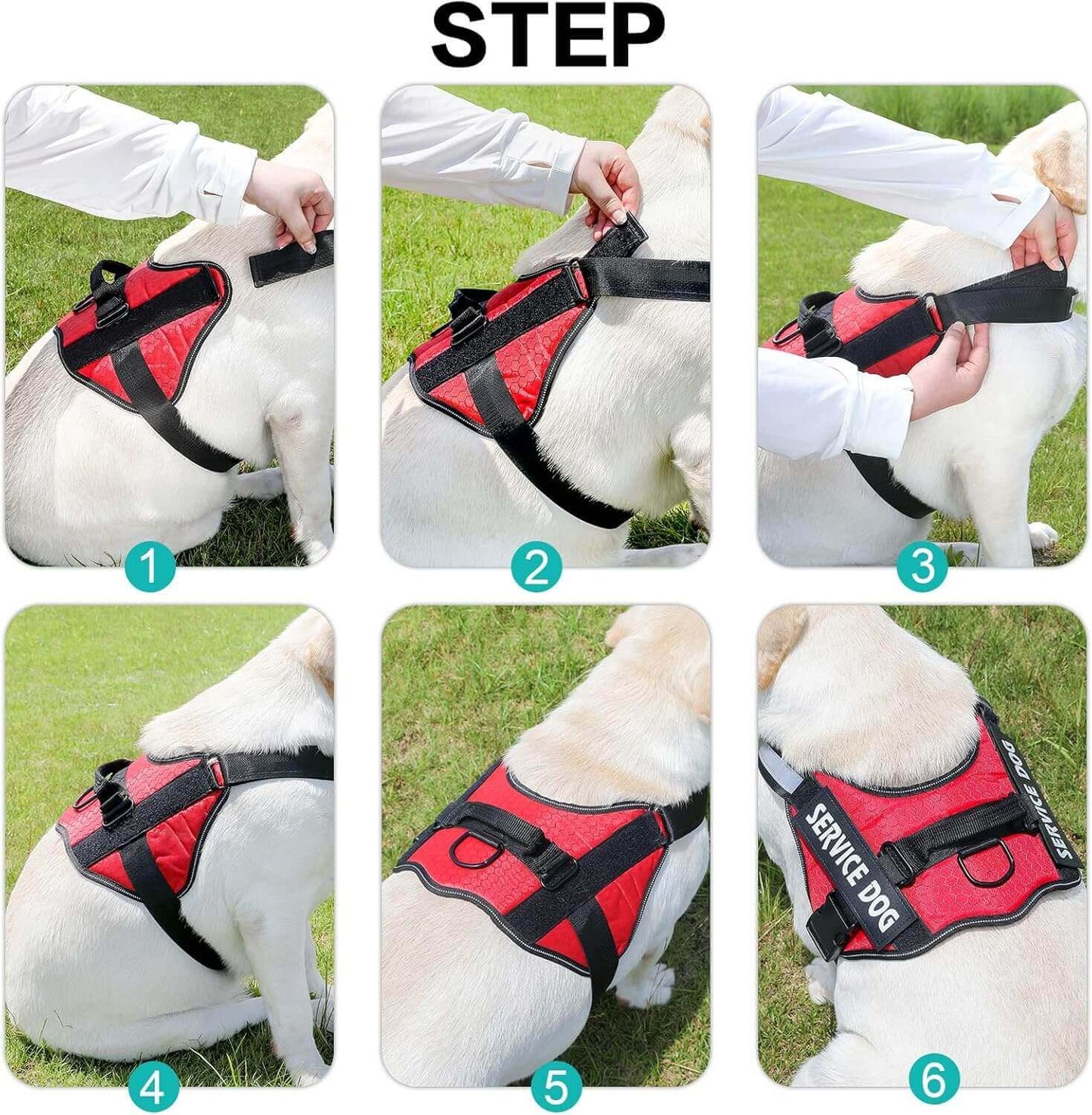 Dog Harness, No Pull Easy On and Off Pet Vest Harness, 3M Reflective Breathable & Easy Adjust Pet Halters with Nylon Handle - No More Tugging or Choking for Small Medium Large Dogs - PETPOY