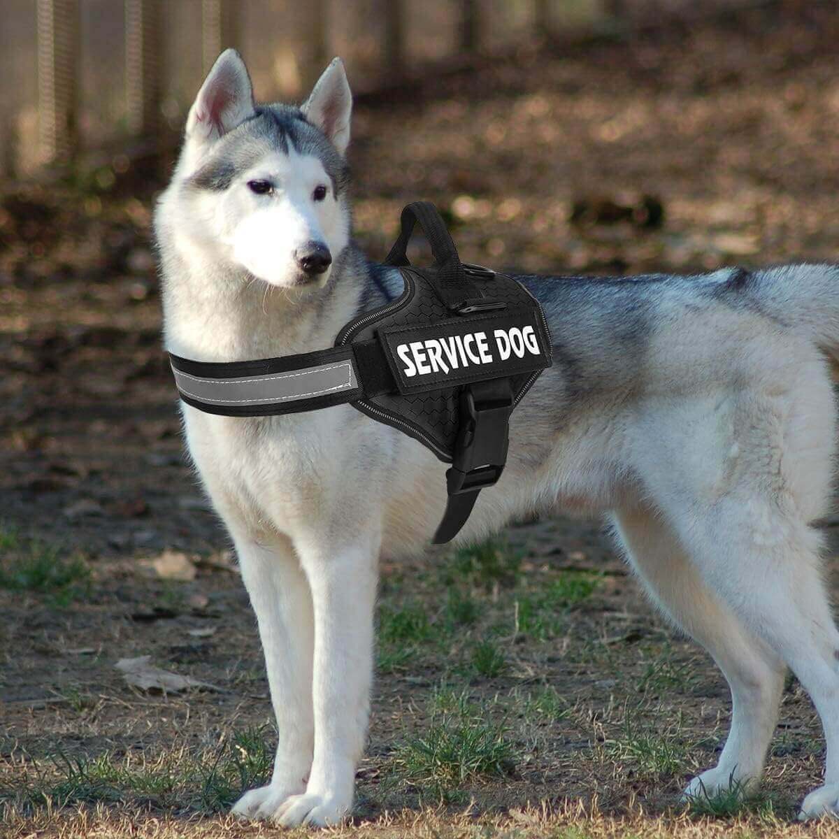 Dog Harness, No Pull Easy On and Off Pet Vest Harness, 3M Reflective Breathable & Easy Adjust Pet Halters with Nylon Handle - No More Tugging or Choking for Small Medium Large Dogs - PETPOY
