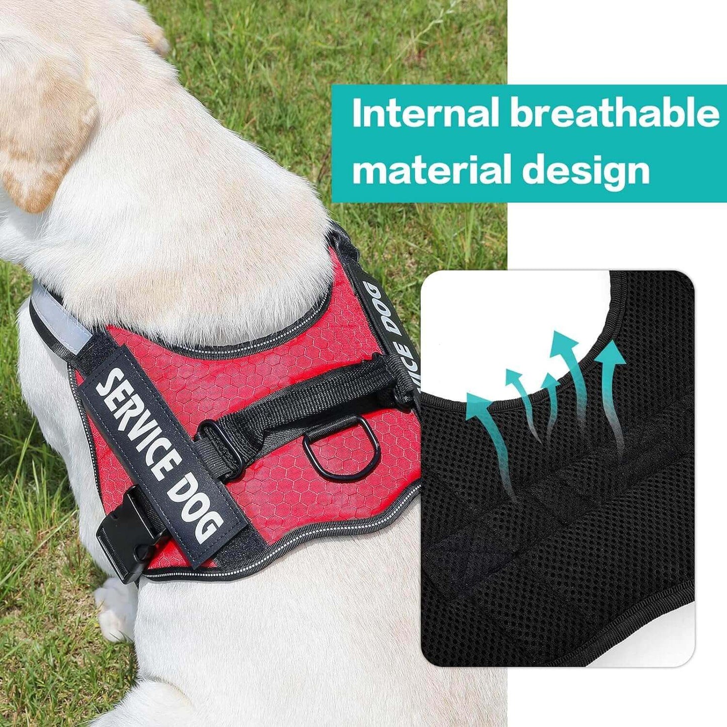 Dog Harness, No Pull Easy On and Off Pet Vest Harness, 3M Reflective Breathable & Easy Adjust Pet Halters with Nylon Handle - No More Tugging or Choking for Small Medium Large Dogs - PETPOY