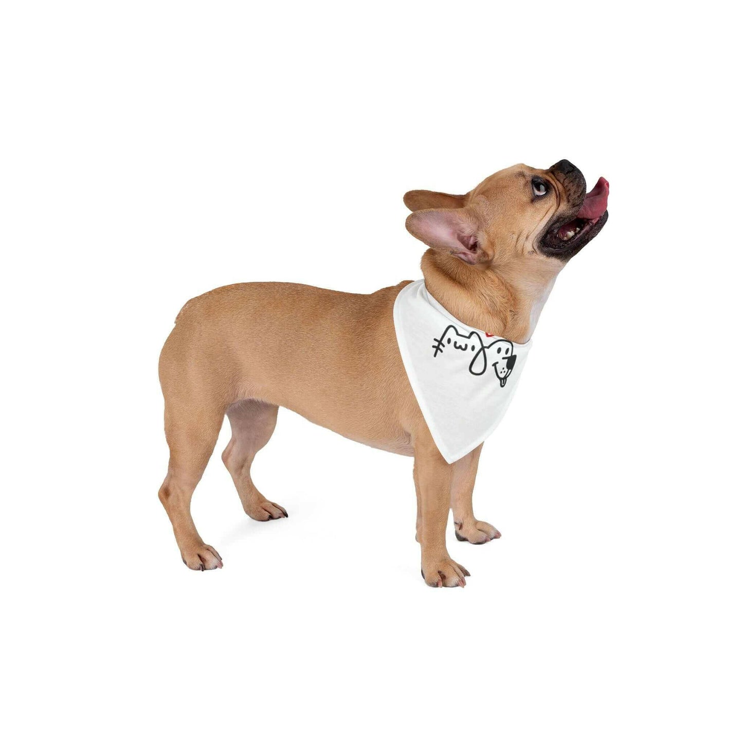 Adorable French Bulldog wearing a white bandana with cute cartoon faces, looking up with tongue out.